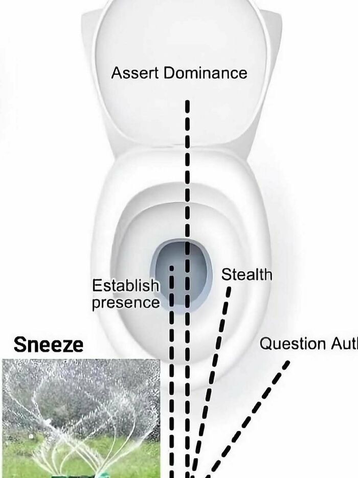 Diagram of toilet spray directions labeled sneeze and assert dominance