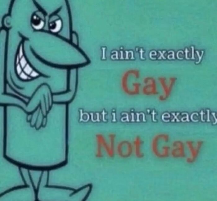 cartoon character with text about not exactly gay meme