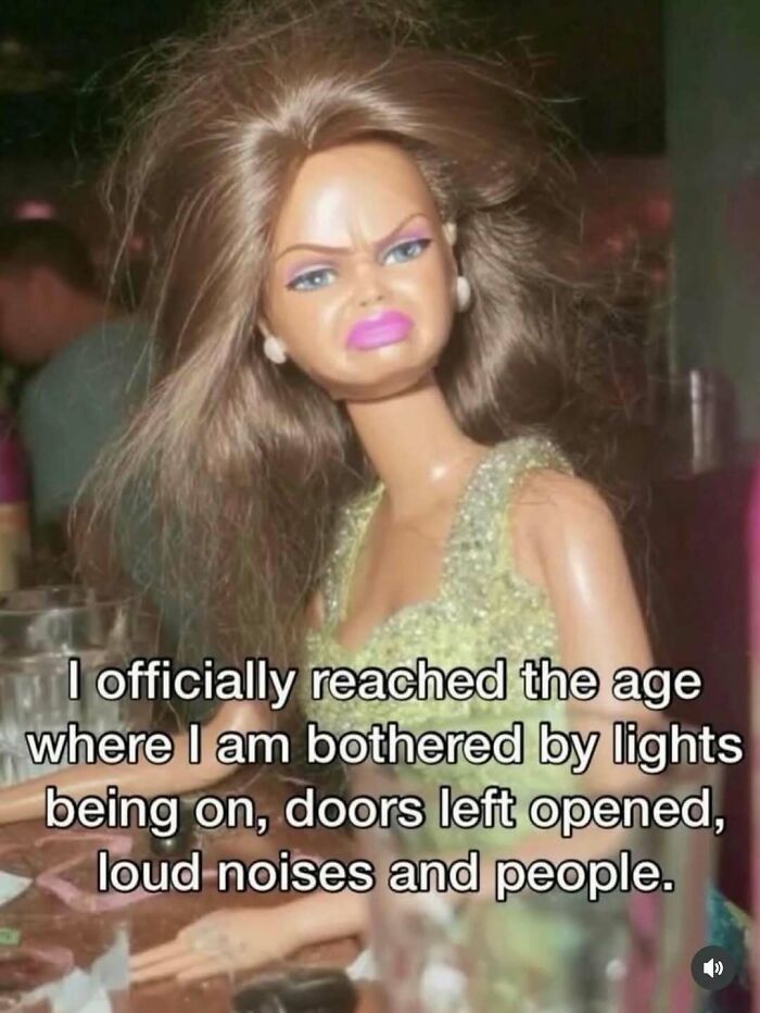 A meme of a disheveled Barbie doll with a disgusted face, bringing out the laughter with relatable text.