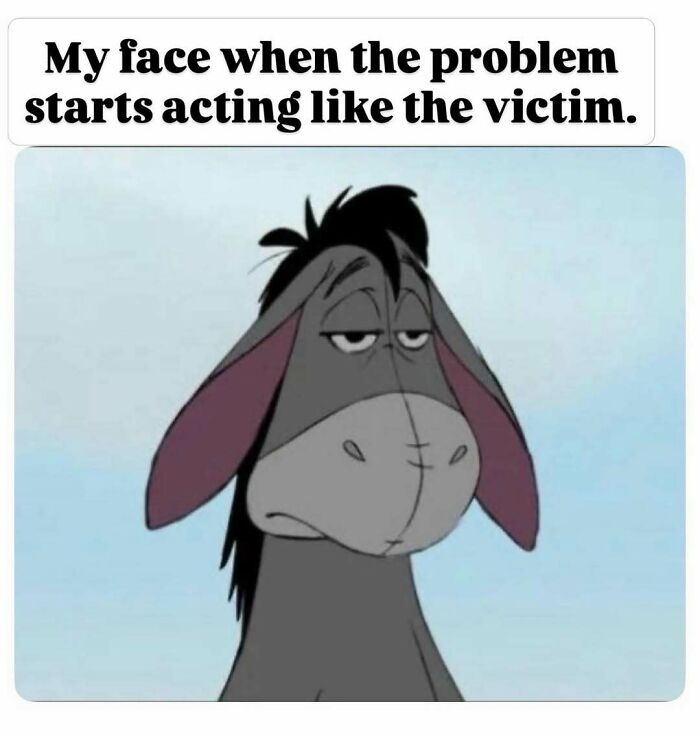 An Eeyore meme with the caption My face when the problem starts acting like the victim, designed to bring out the laughter.