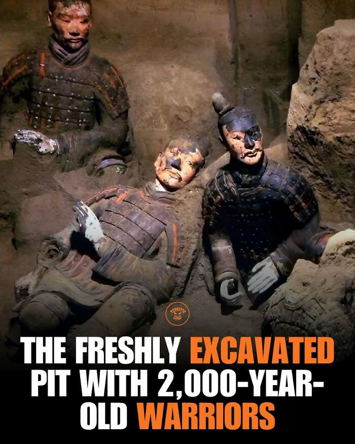 Freshly excavated pit displaying 2000-year-old warriors in armor
