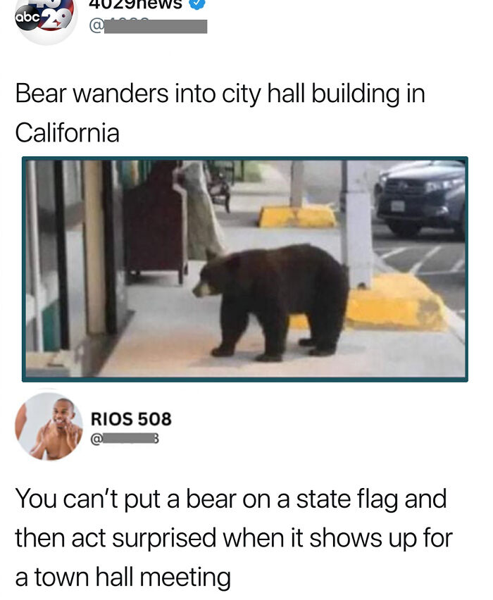 Savage comment on bear wandering into city hall with state flag reference
