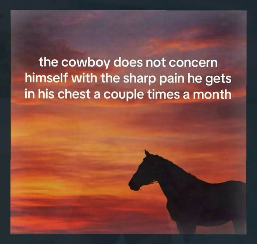 Inspirational cowboy quote with silhouette against sunset in unhinged posts