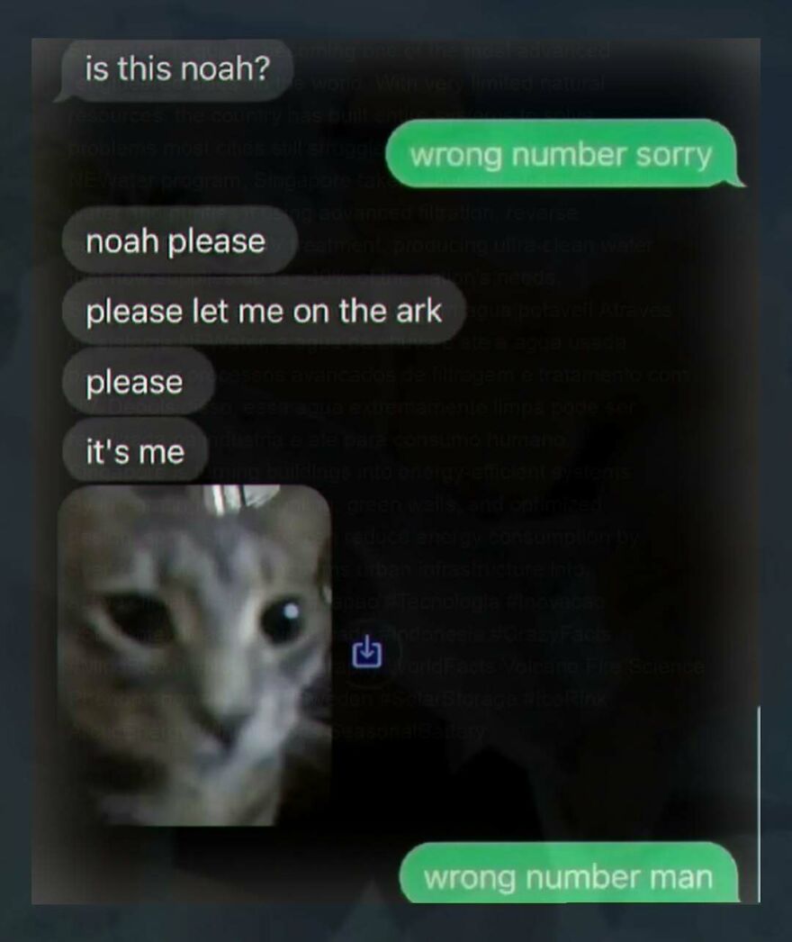 funny relatable text exchange about wrong number with a cat image