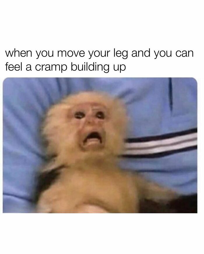 Monkey with alarmed expression illustrating leg cramp sensation meme