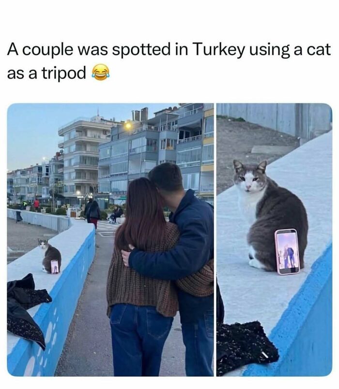 Couple in Turkey using cat as tripod to take photo
