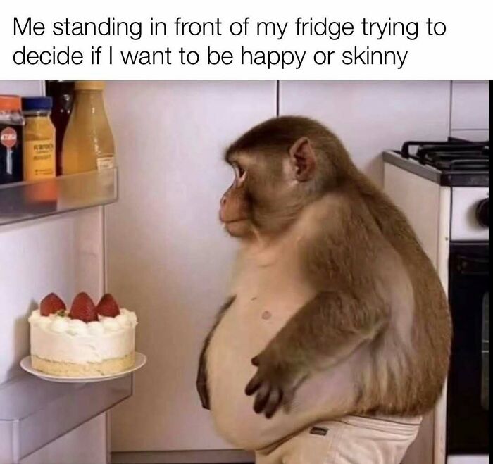 Monkey standing in front of fridge deciding between happy or skinny funny meme