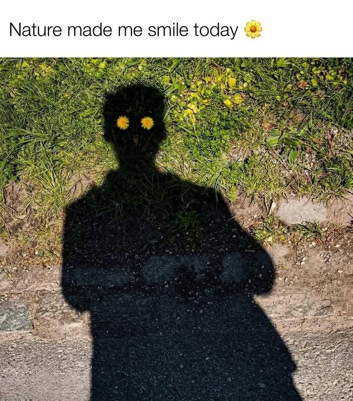 Shadow on grass with flowers positioned as eyes showing nature smile