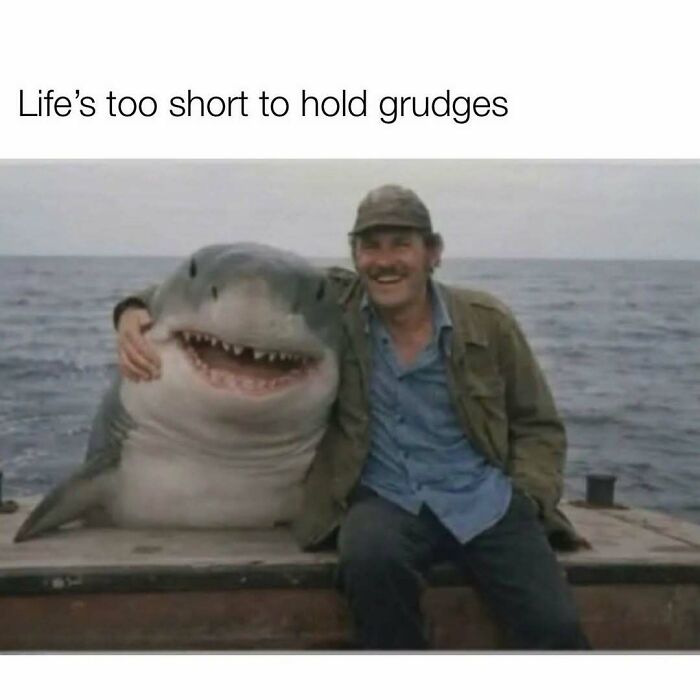 Photo of man and shark with text about holding grudges in random memes