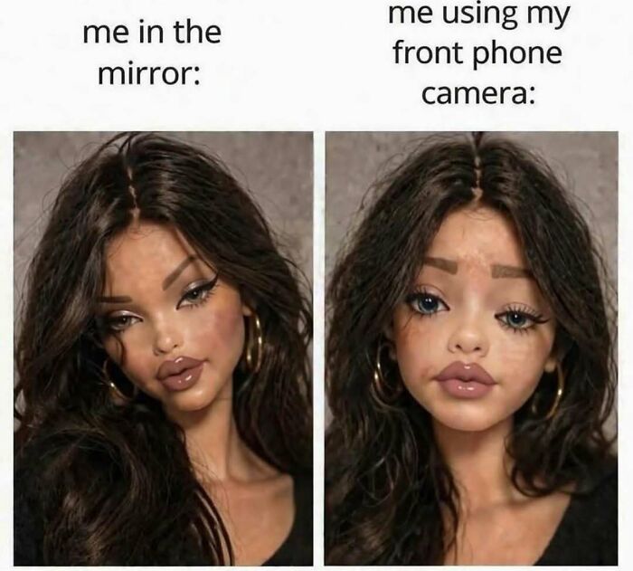 Comparison of mirror-self versus front phone camera distorted face, random funny meme