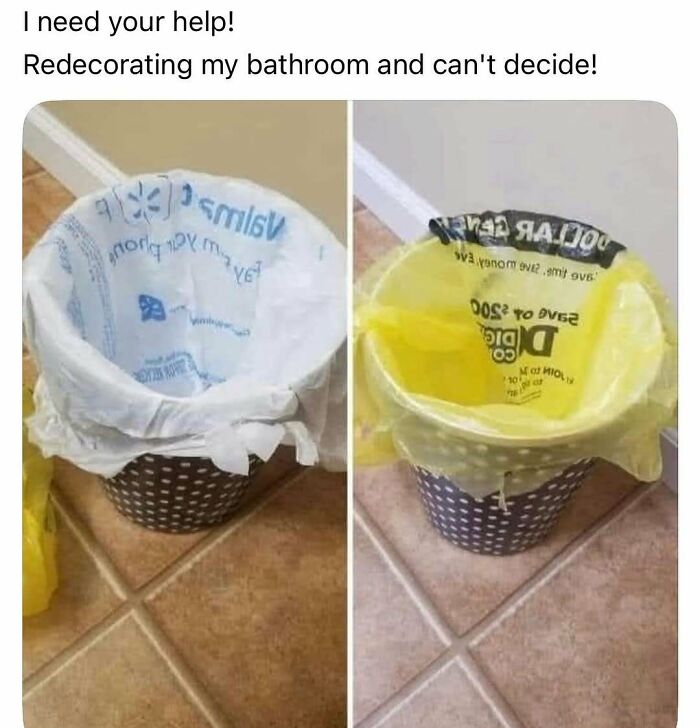Image of two trash cans with different liners asking for help with random ridiculous memes