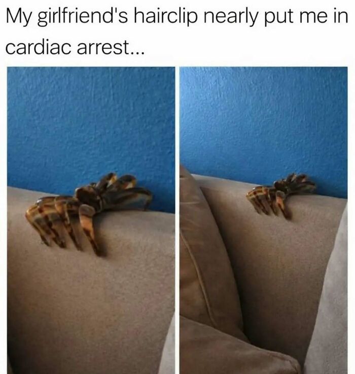 Hairclip on couch causing a humorous scare