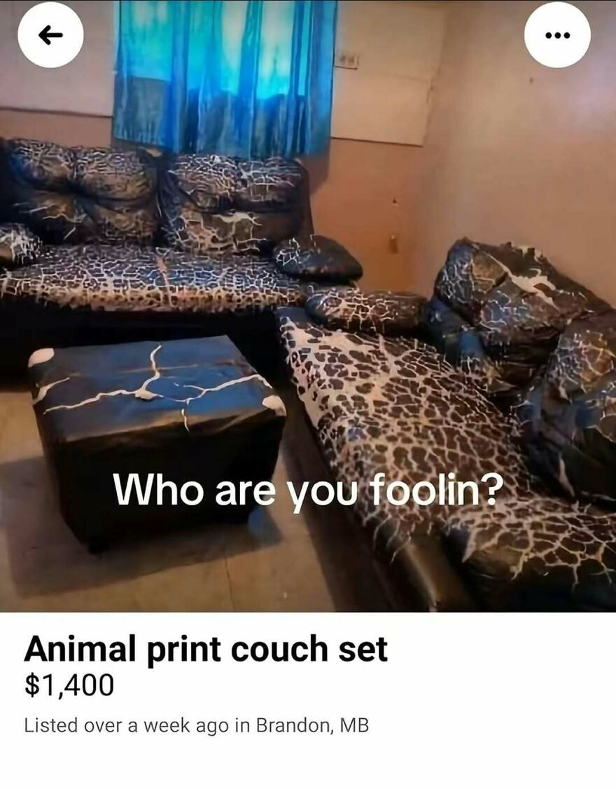 Unhinged post about expensive animal print couch set for sale
