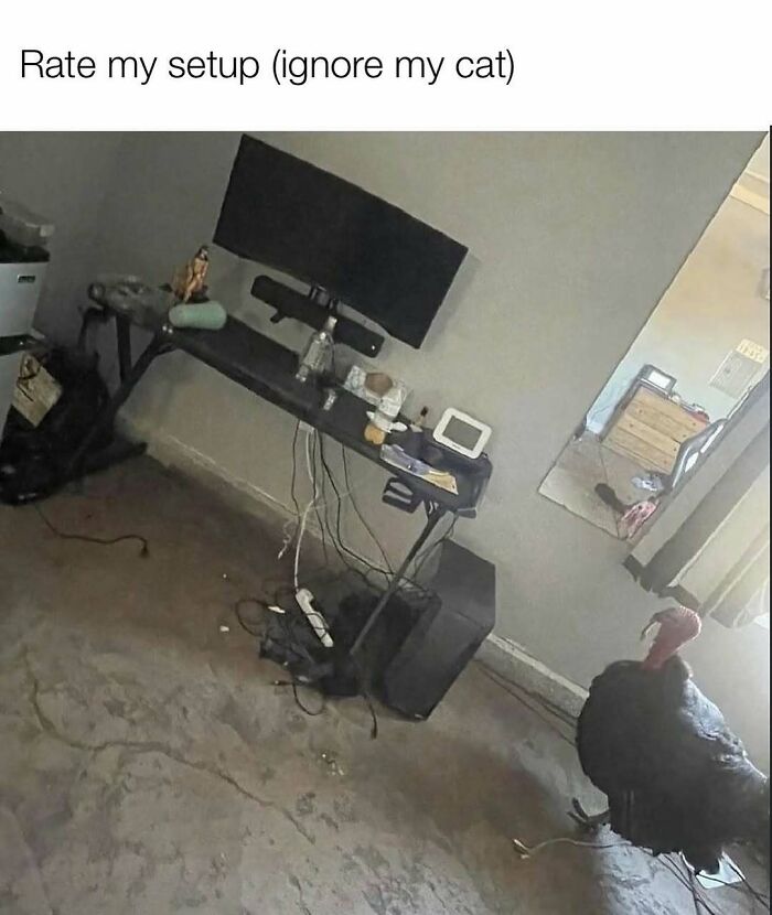 Humorous gaming setup with messy cables and a turkey on floor, funny meme about random memes