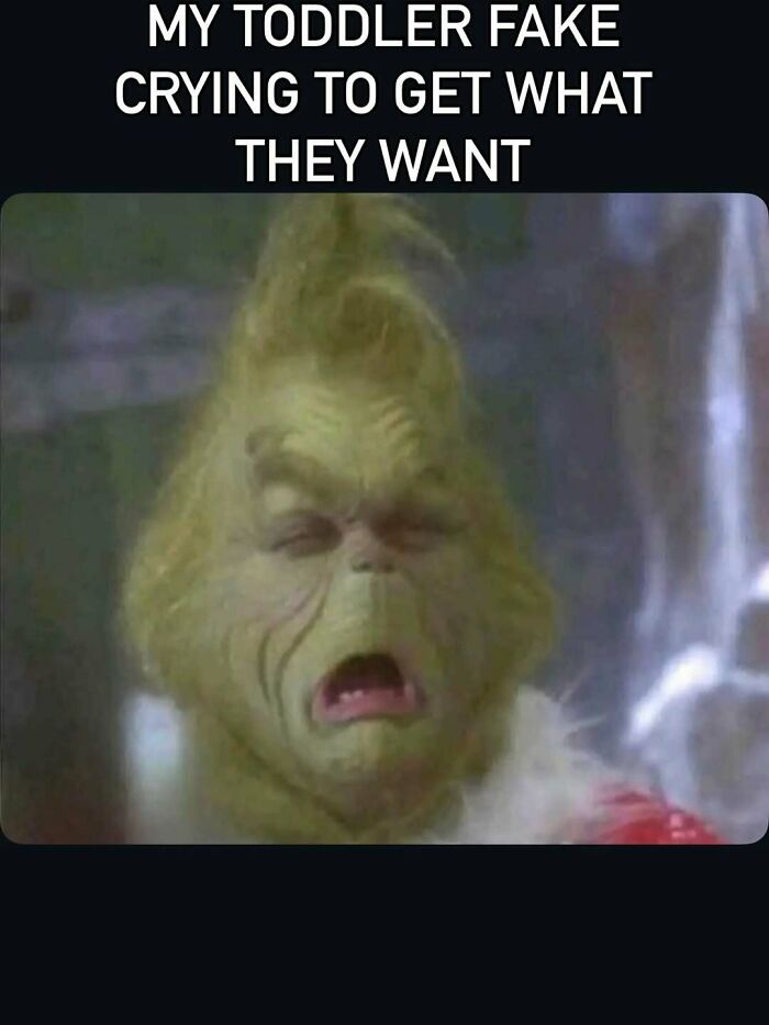 Funny mom meme about toddler fake crying using Grinch face