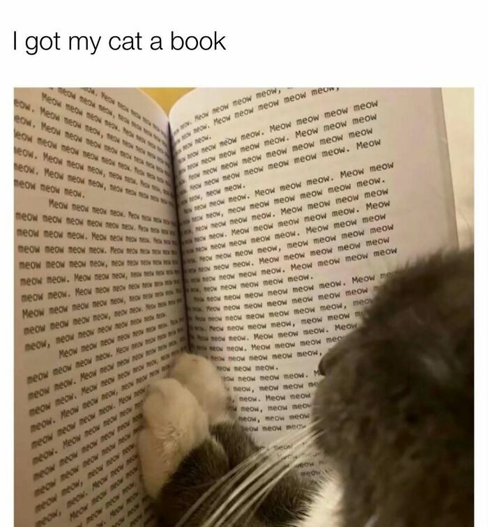 Cat reading a book full of repeated meow text pages