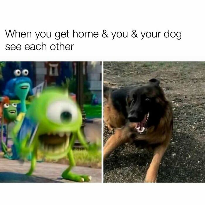 Excited reaction of cartoon character and surprised dog seeing each other