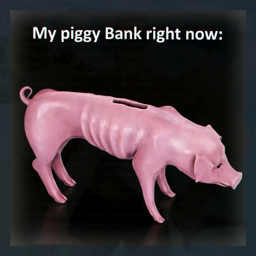 funny unhinged post showing empty piggy bank shaped like a pig