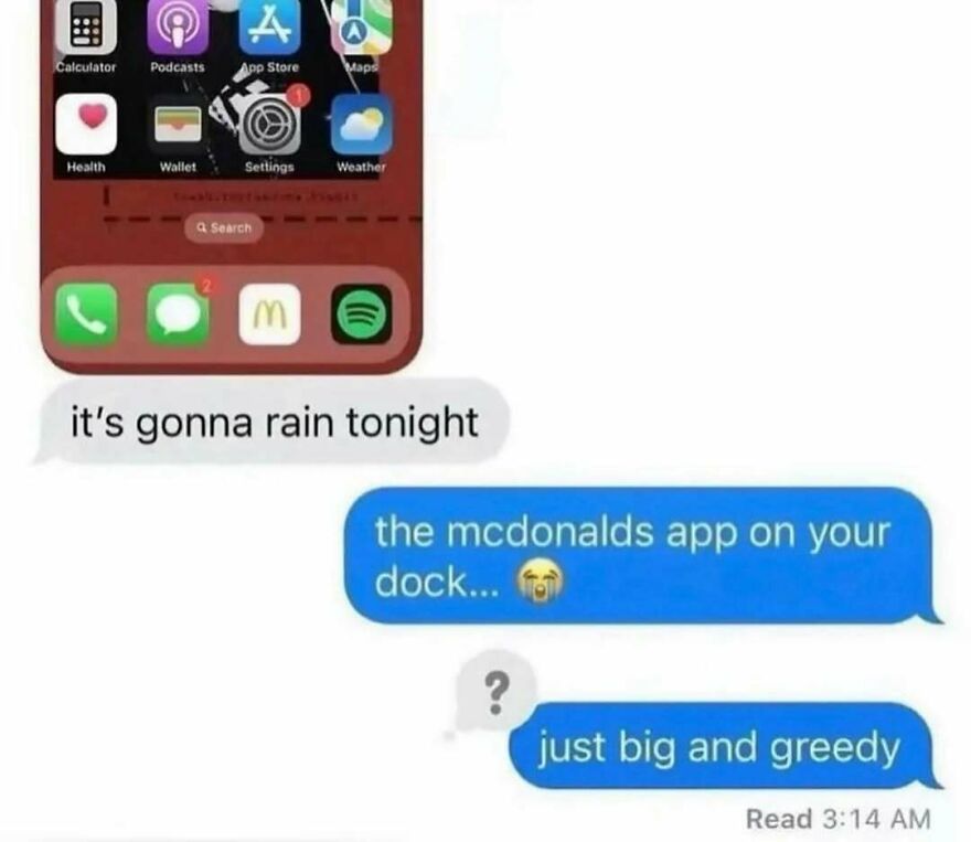 Text conversation highlighting McDonalds app on phone dock, funny unhinged post