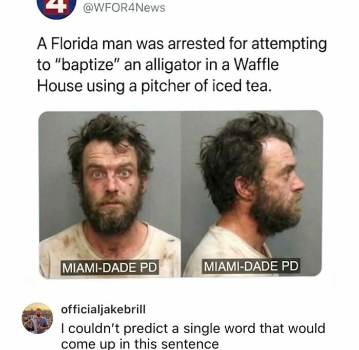 Florida man arrested for trying to baptize alligator with iced tea meme