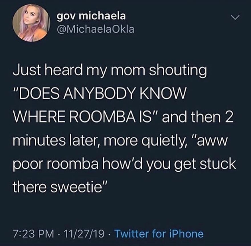 Funny unhinged post about mom searching for stuck Roomba vacuum