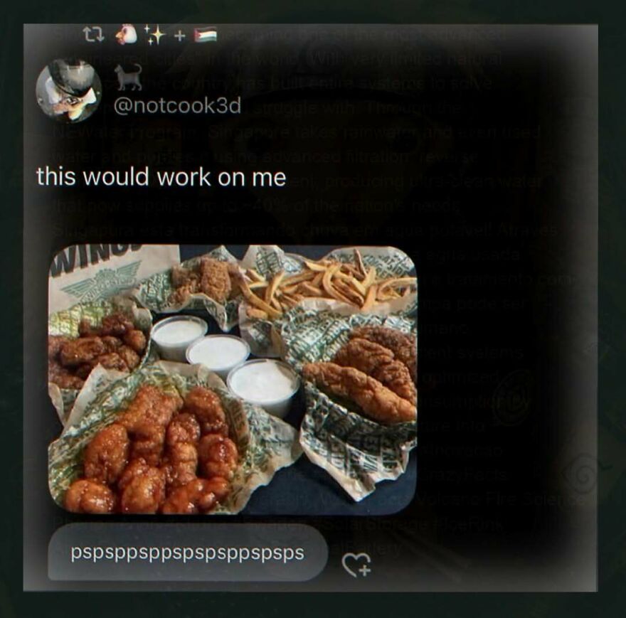 Unhinged posts showing a large spread of wings, fries, and dipping sauces funny relatable food humor