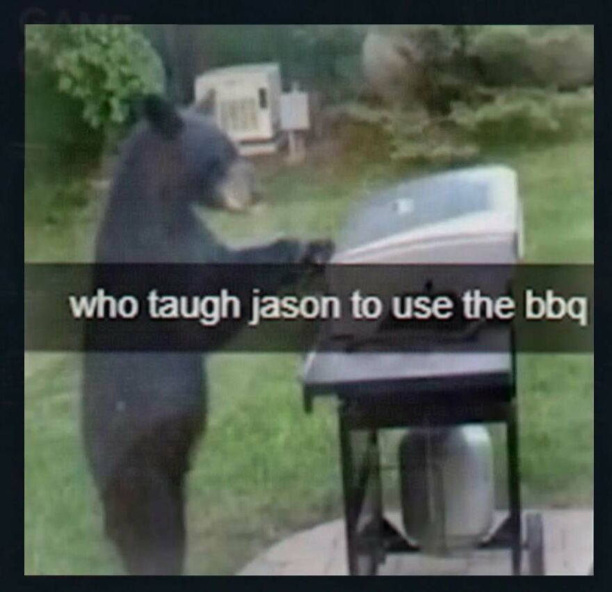 Bear standing at a BBQ grill with text about teaching Jason to use the BBQ funny unhinged posts