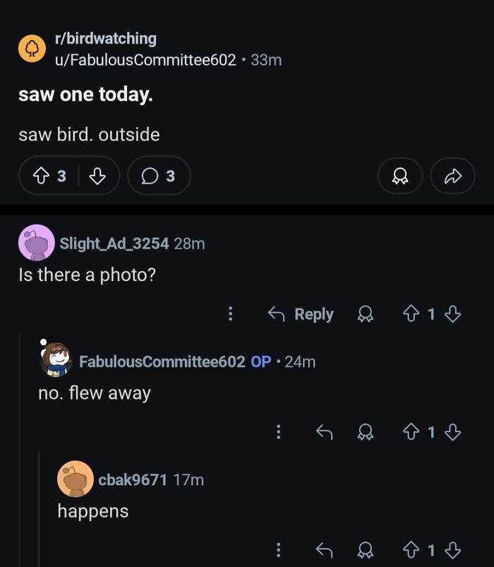 Reddit birdwatching joke with no bird photo for animal memes