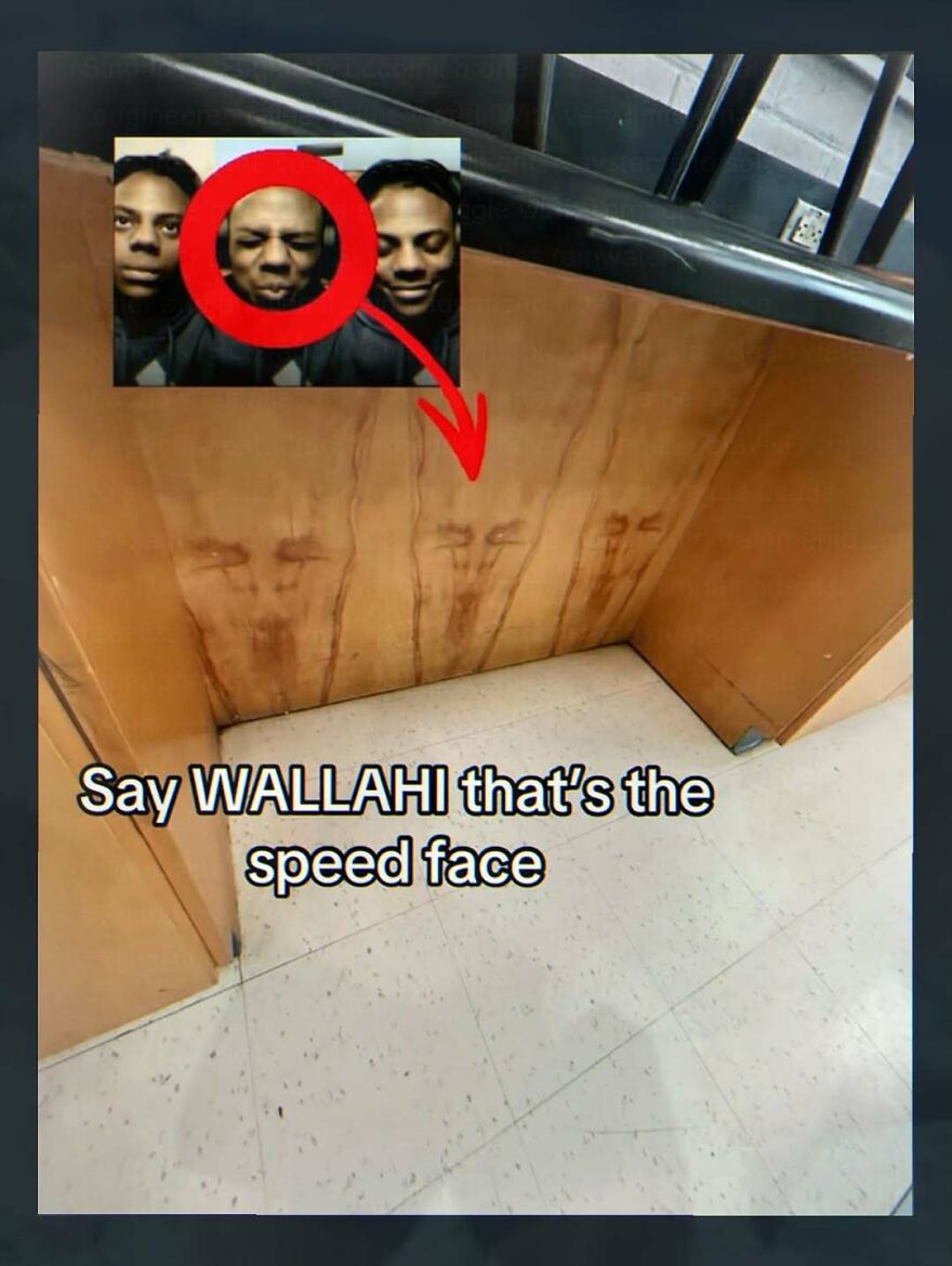 Wood stains on a wall resembling funny faces with added text about speed face