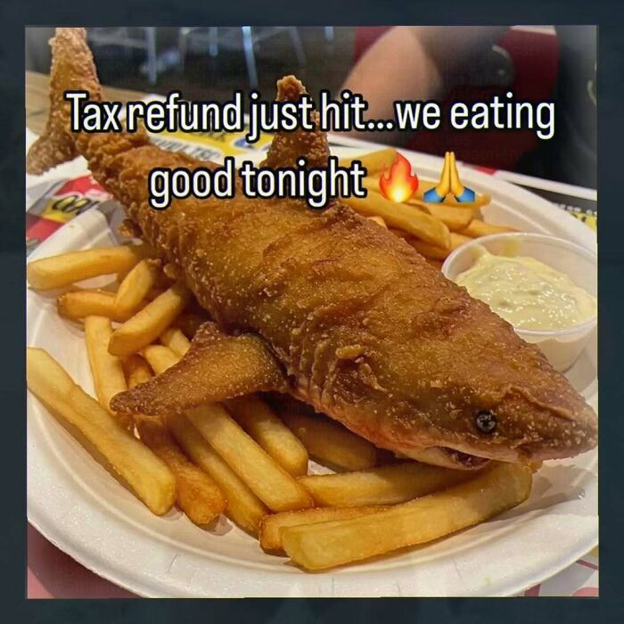Fried fish shaped like a shark served with fries and dip