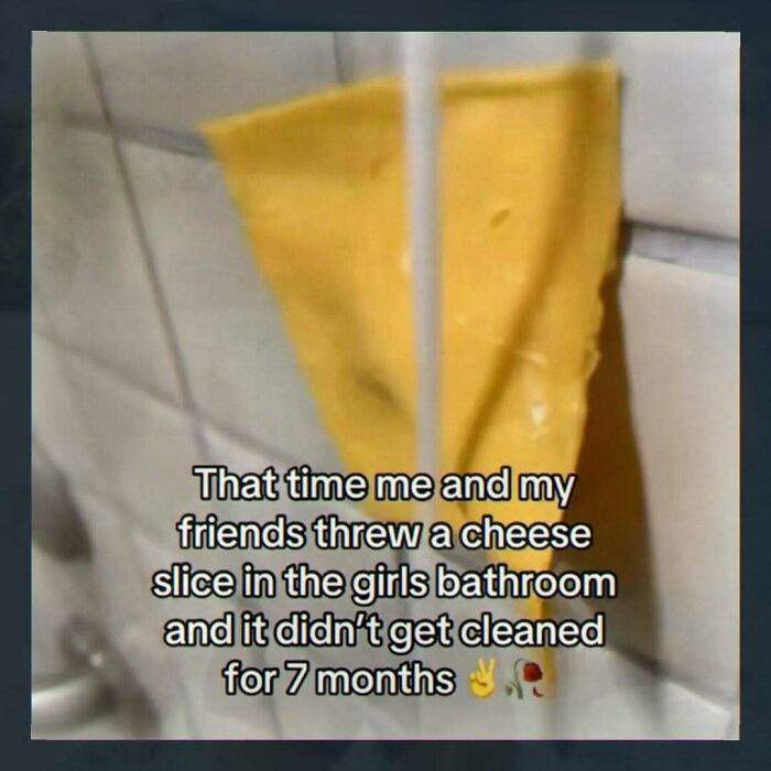 Cheese slice left in girls bathroom for 7 months random image