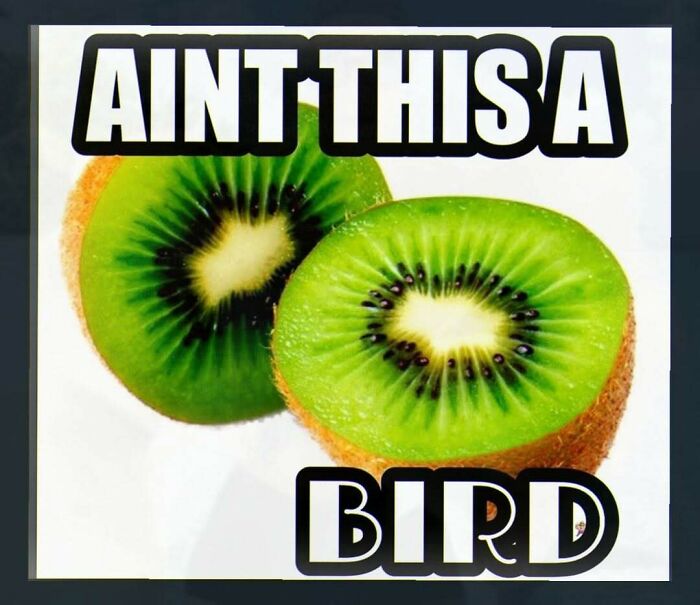 Close-up of kiwi fruit halves captioned as bird