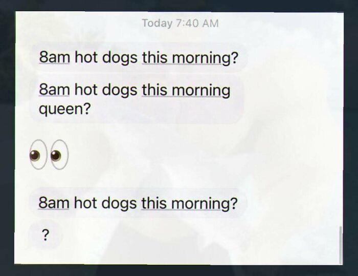 Screenshot of repetitive text messages asking about 8am hot dogs this morning