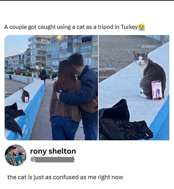Funny post about couple using a cat as a tripod in Turkey