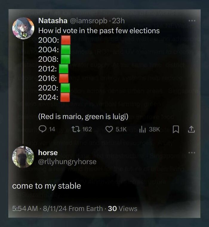 Funny voting meme with Mario and Luigi representing election years in random images