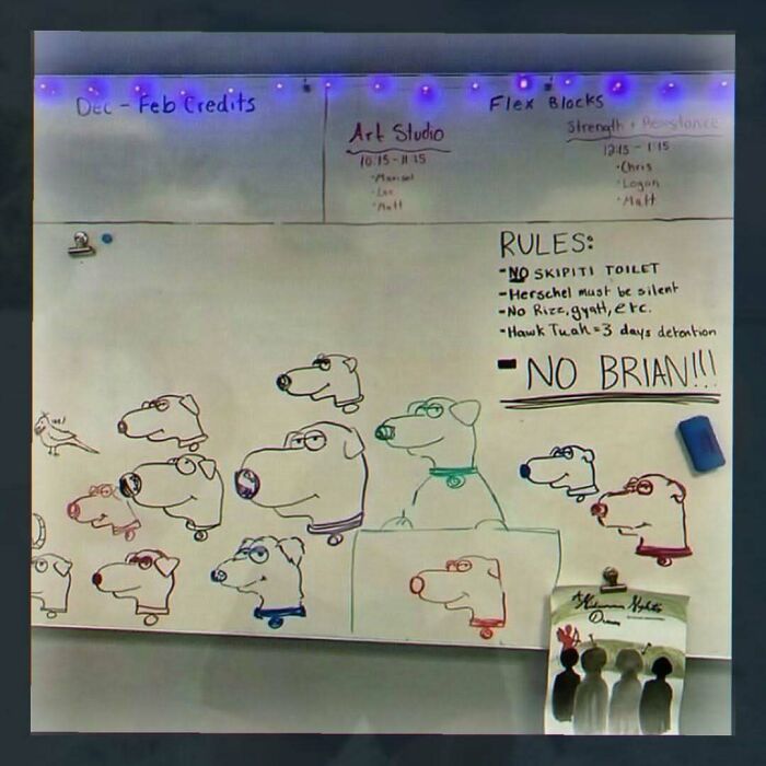 Funny random image with cartoon dog drawings and rules on a whiteboard