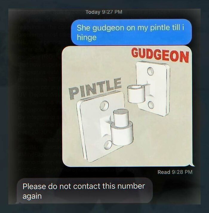 Text message meme showing pintle and gudgeon hinge parts with humorous context