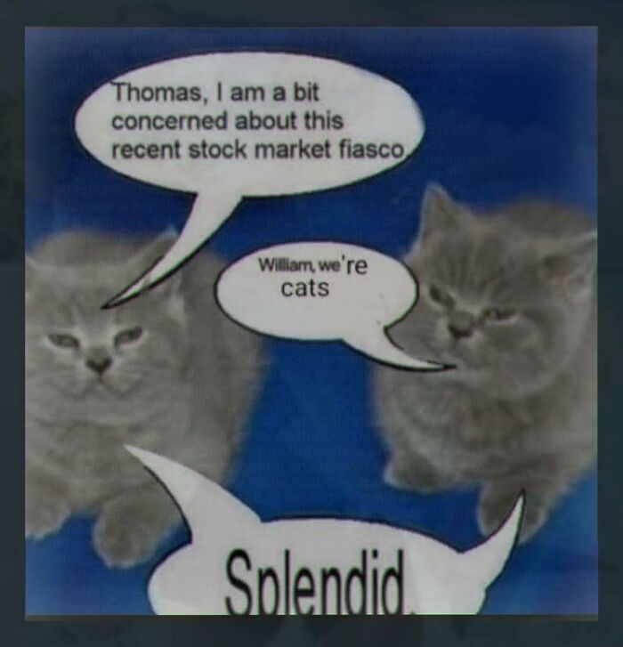 two cats talking about stock market in weird cats meme