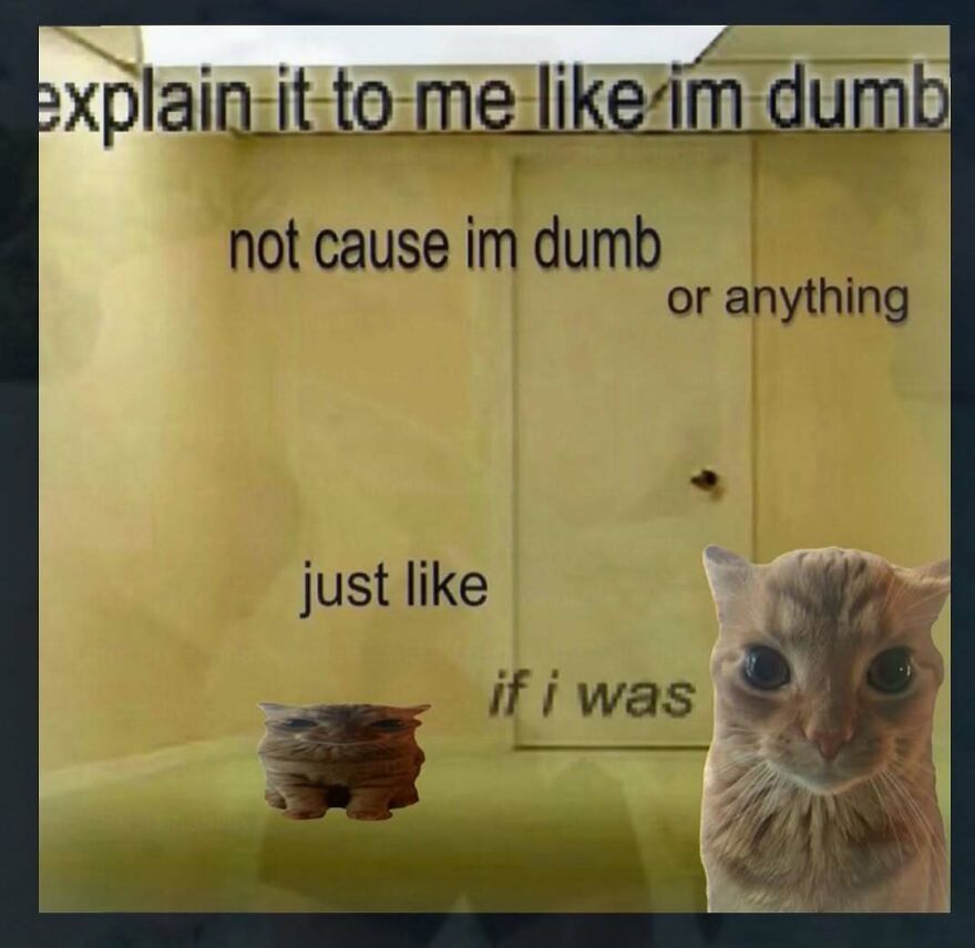 Humorous meme asking to be explained like im dumb with cat and object