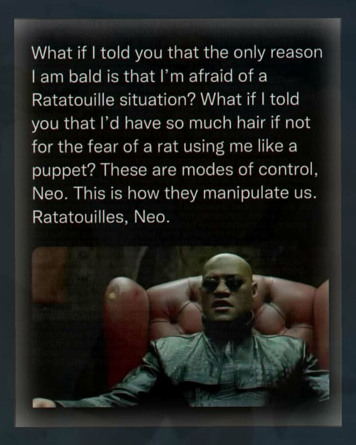 Morpheus from Matrix talking about baldness and rat control, weird random image