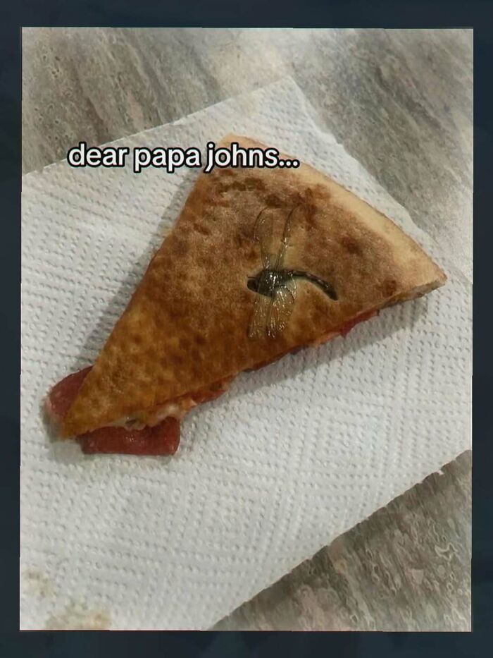 Slice of pizza with a d**d insect and caption mentioning Papa Johns pizza