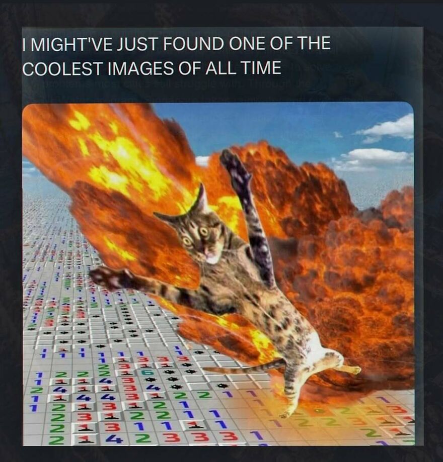 Funny unhinged post of cat falling with fire over a Minesweeper game background