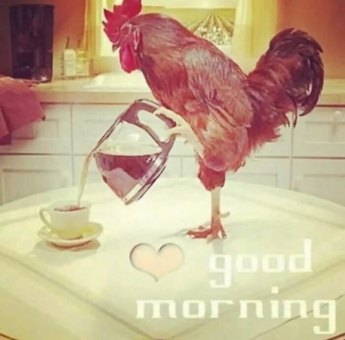 Rooster pouring coffee with text good morning in weird image