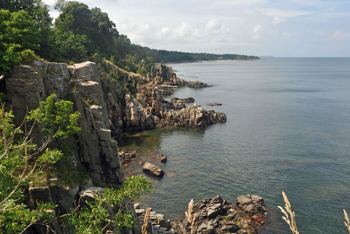 Rocky coastline with green foliage along calm ocean waters