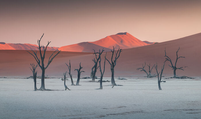 41 New Breathtaking Nature Photos By Karol Nienartowicz That Showcase The Beauty Of The World