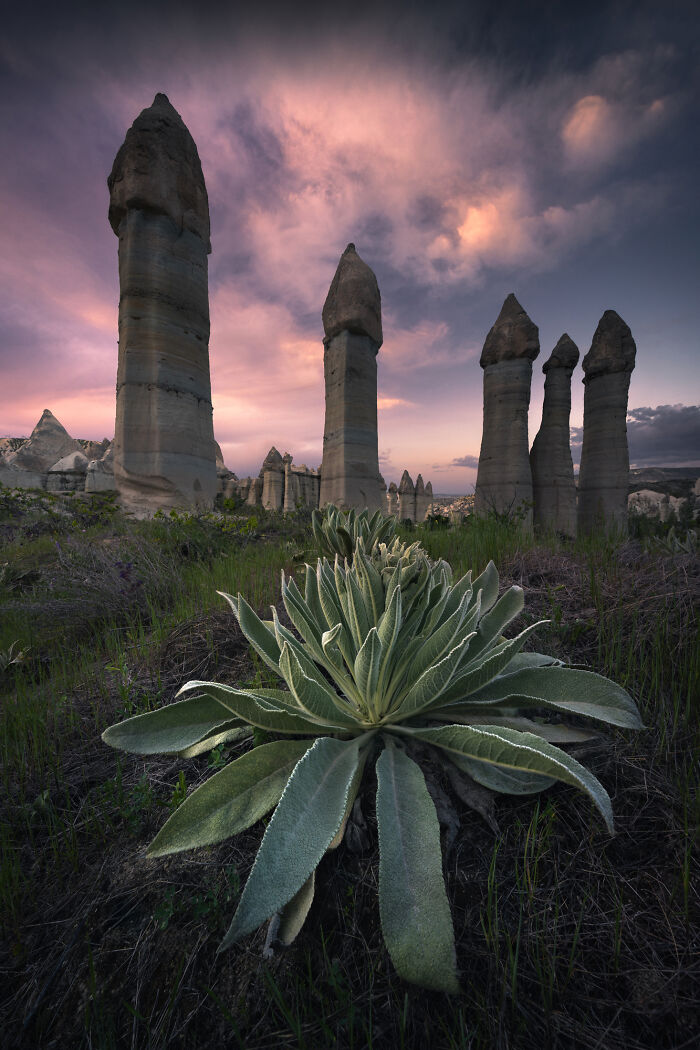 41 New Breathtaking Nature Photos By Karol Nienartowicz That Showcase The Beauty Of The World