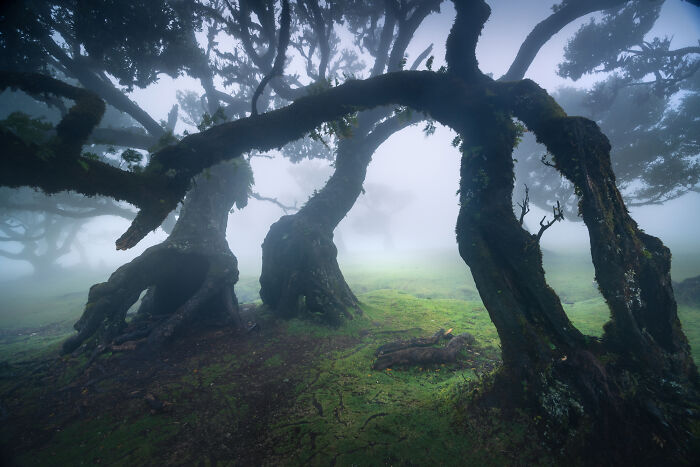 41 New Breathtaking Nature Photos By Karol Nienartowicz That Showcase The Beauty Of The World