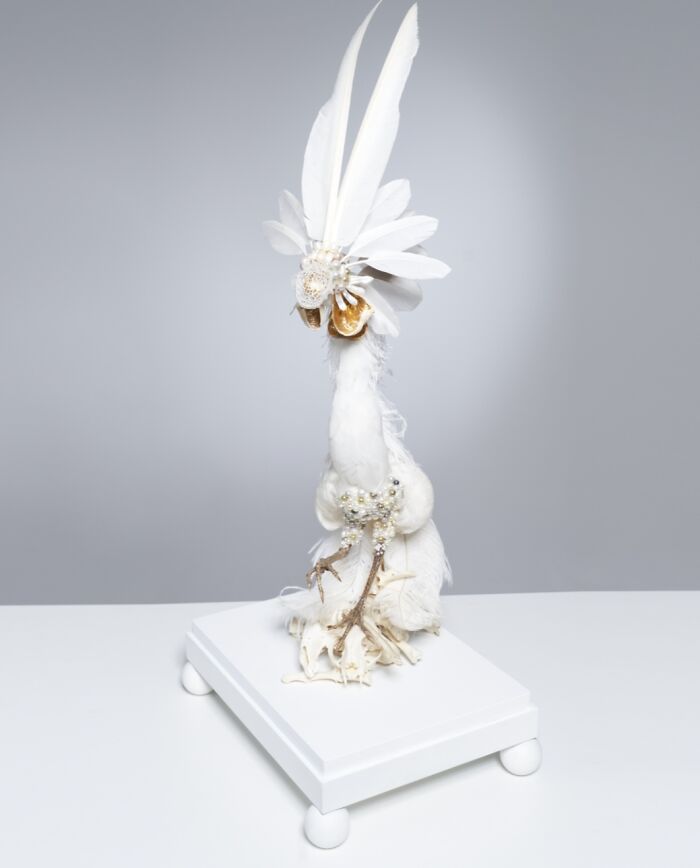 Here Are 18 Surreal Bug Fairies Made From Dead Insects Made By This Amsterdam-Based Artist