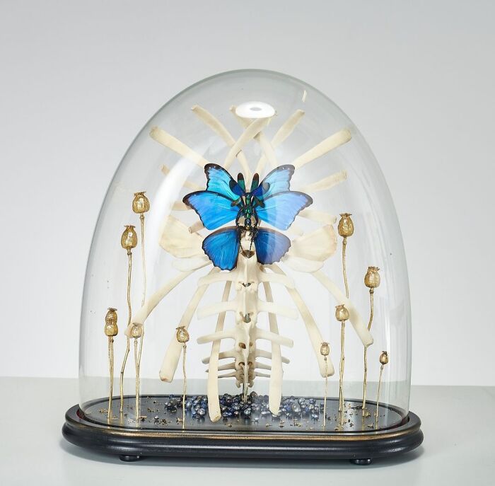 Here Are 18 Surreal Bug Fairies Made From Dead Insects Made By This Amsterdam-Based Artist