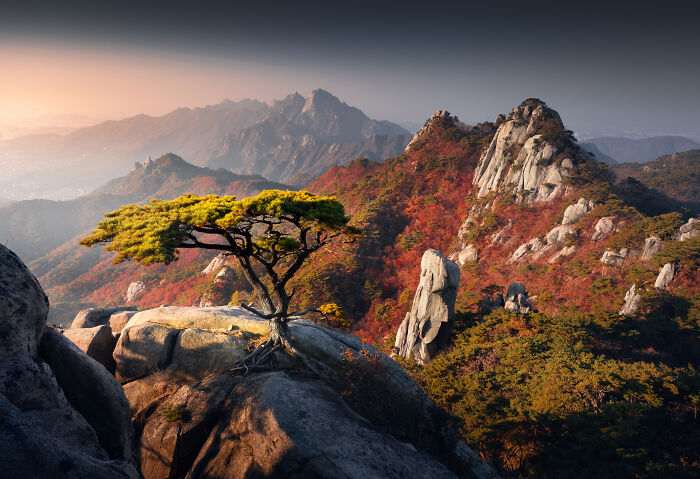 41 New Breathtaking Nature Photos By Karol Nienartowicz That Showcase The Beauty Of The World